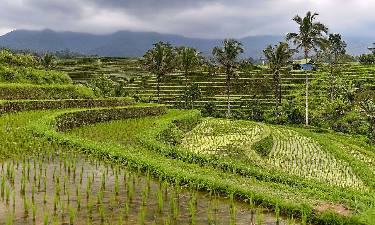 Jatiluwih (Bali, Indonesia)