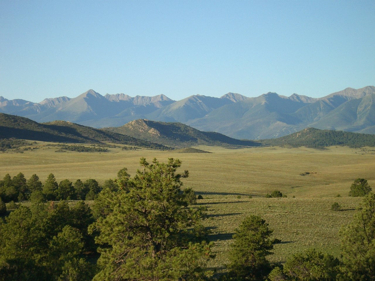 Montane grasslands, Rocky Mountains, Colorado