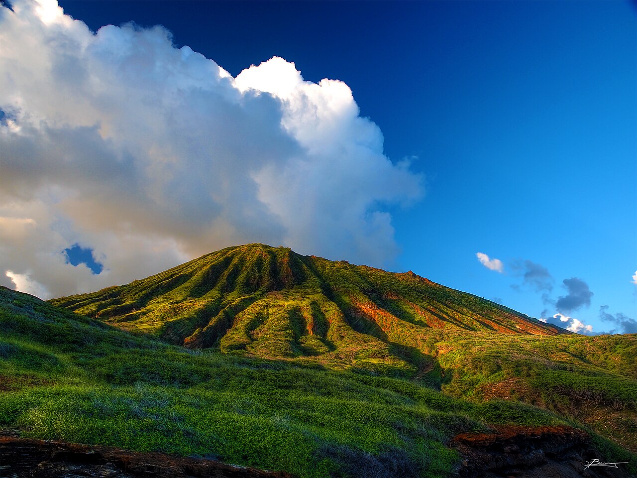 oahu, hawaii. mahalo

(this is what I found the first day in paradise)