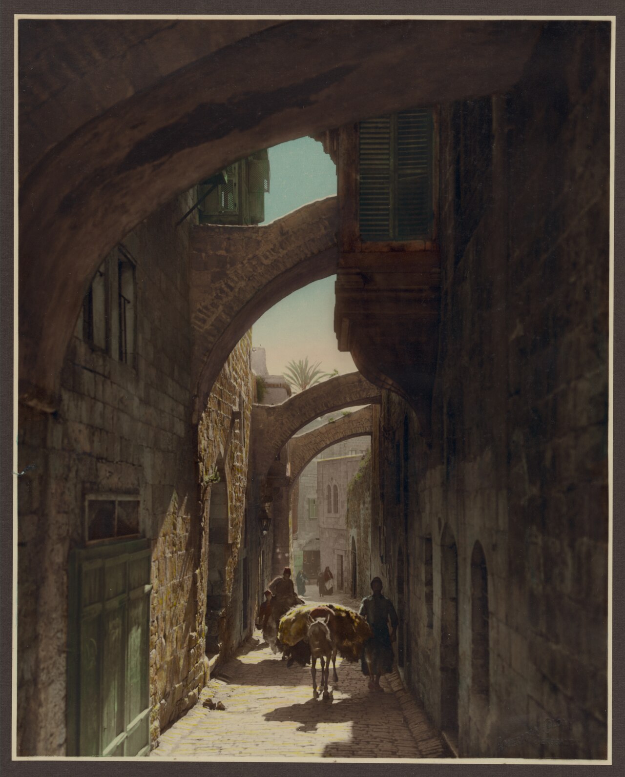 Garden of Gethsemane, Jerusalem, Israel/Palestine