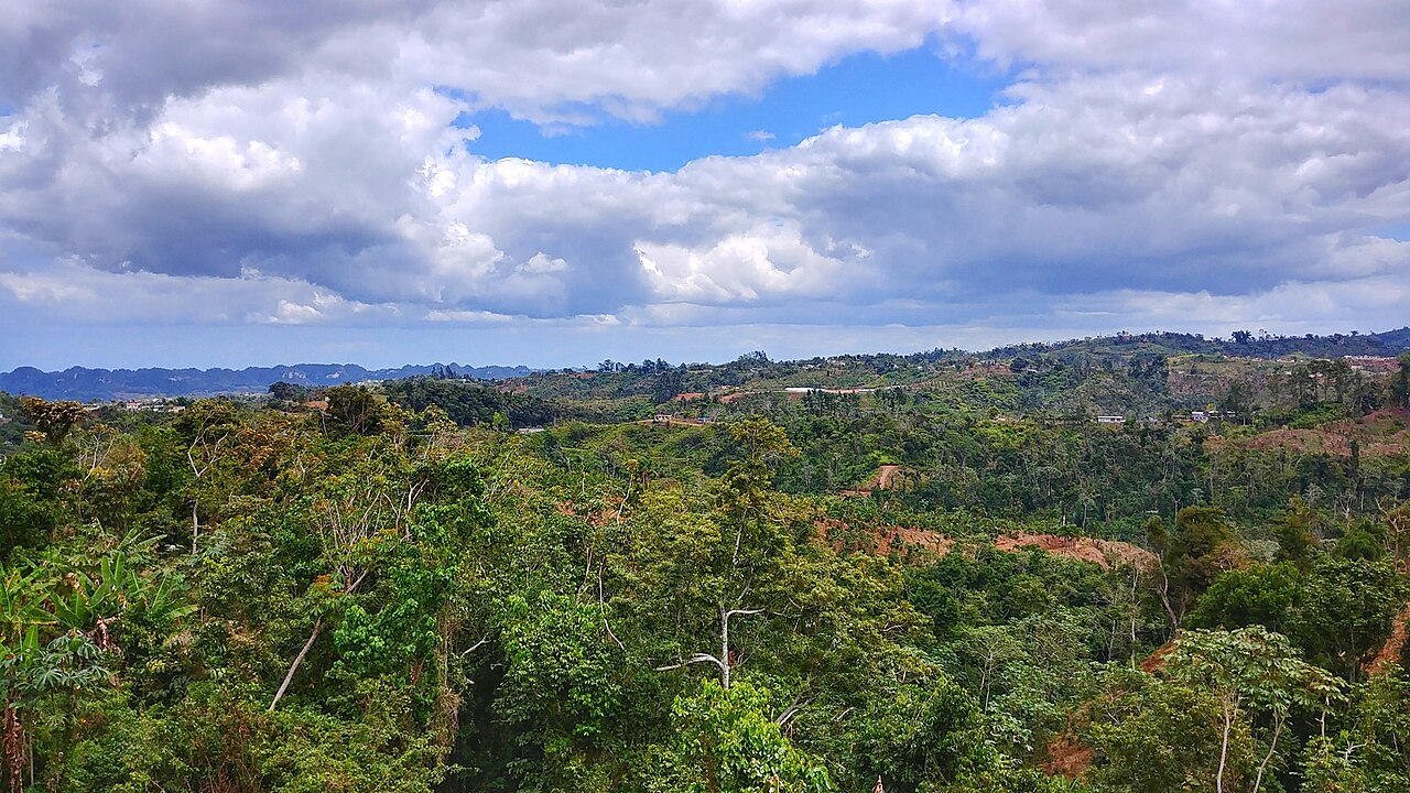 Barrio Buenos Aires, Lares, Puerto Rico (2019)