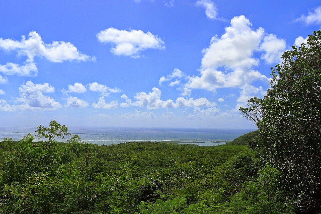 Carenero, Guánica 00653, Puerto Rico